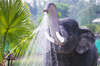 Khaolak Emerald Beach Resort & Spa 